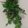Ампельный куст фуксии