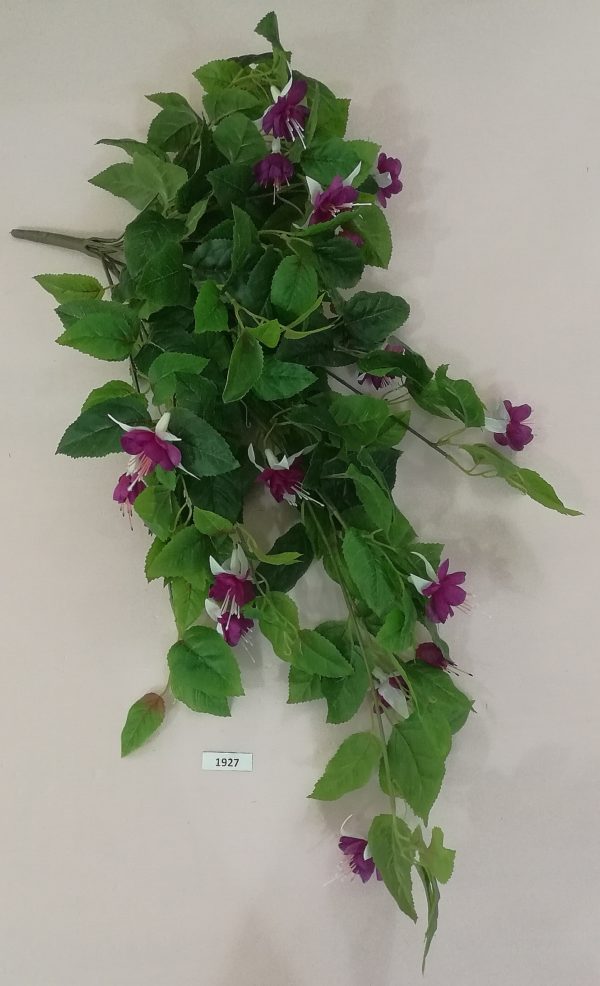 Ампельный куст фуксии