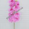 2018-4