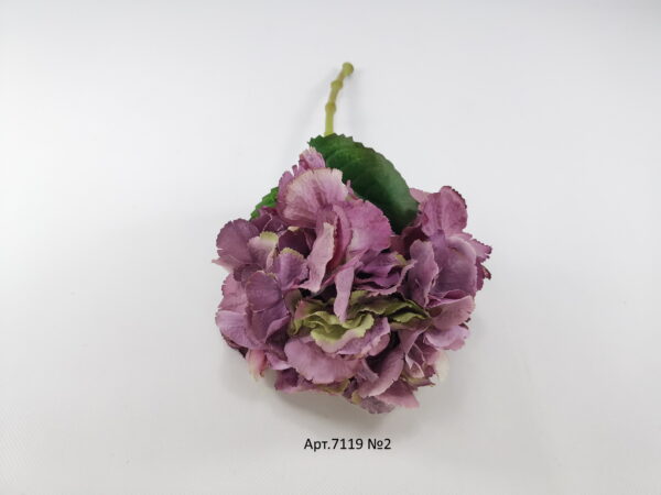 IMG_20210504_102839
