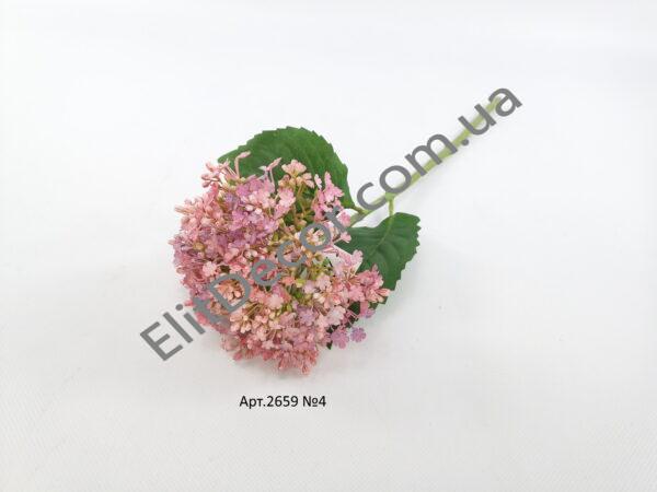 IMG_20210504_122907