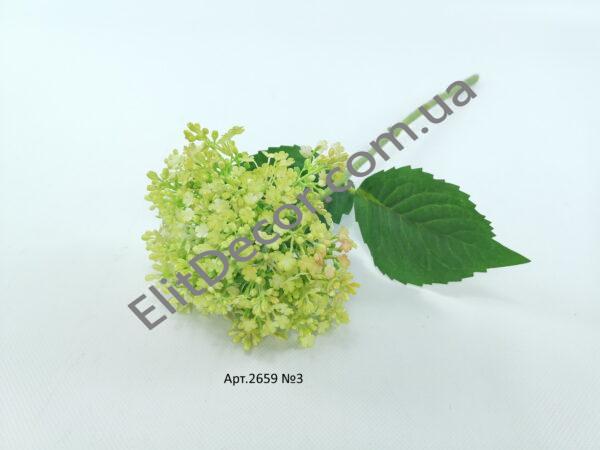 IMG_20210504_122939