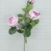 IMG_20210715_125353