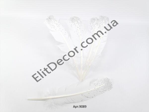 IMG_20210424_104747