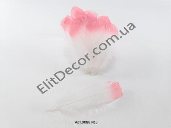 IMG_20210424_122942