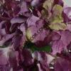 7120 1 (2)