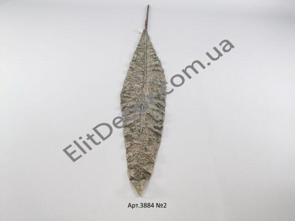 IMG_20210508_123041