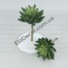 4050-1