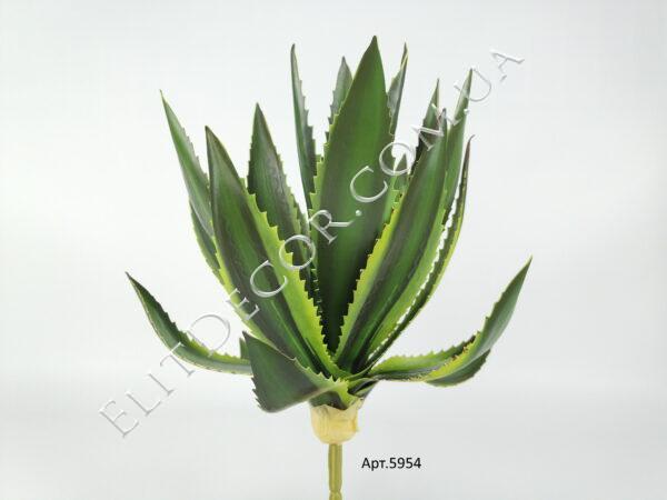 IMG_20201219_115900
