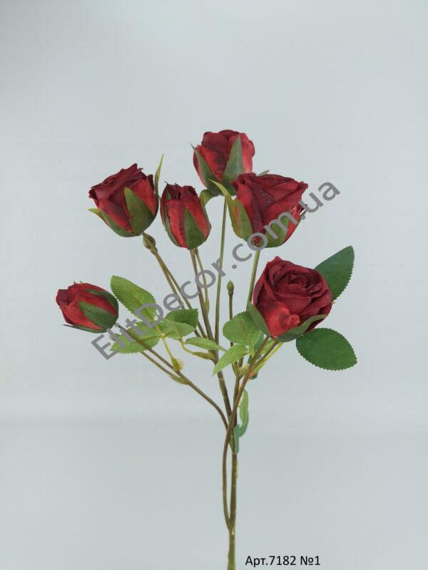 IMG_20210713_120039