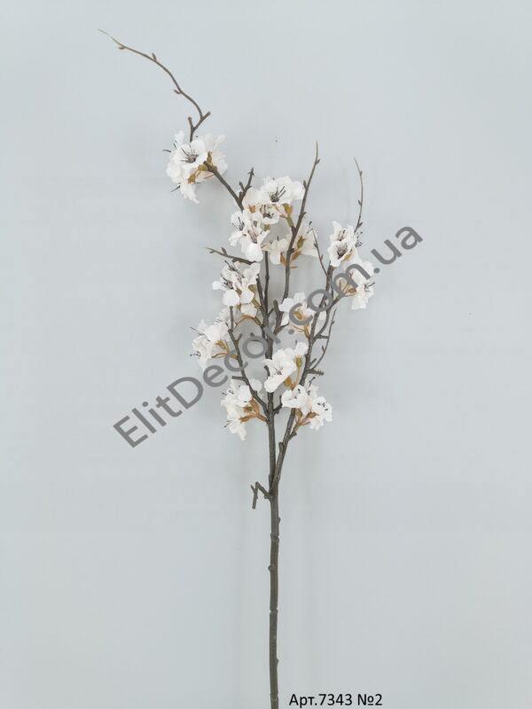 IMG_20210803_124556