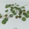 IMG_20210804_125924