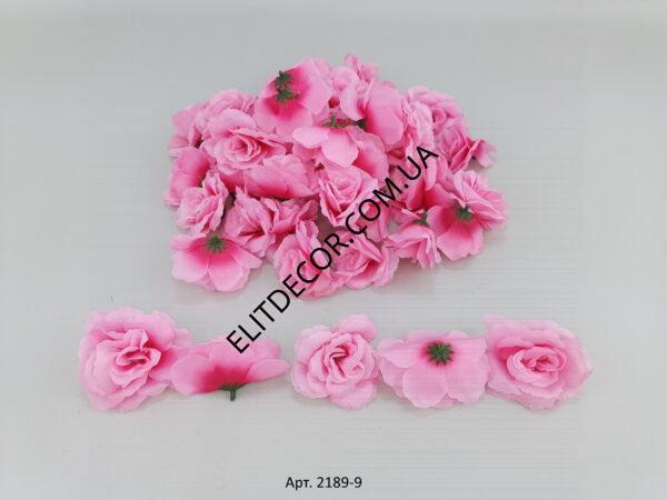 2189-9