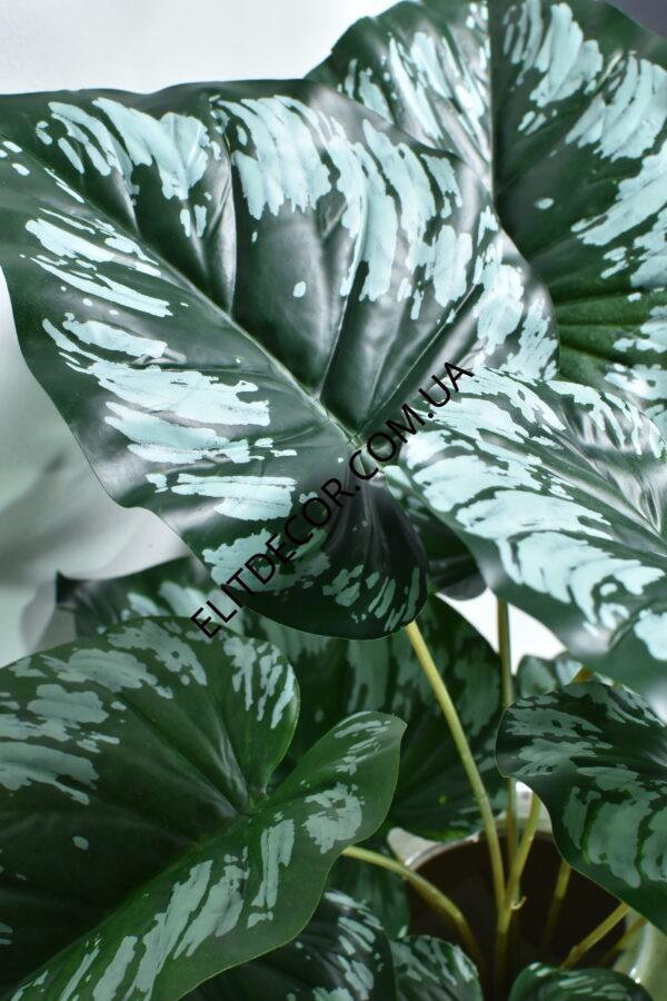 8521-5 (2)