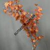 8885-1(1)